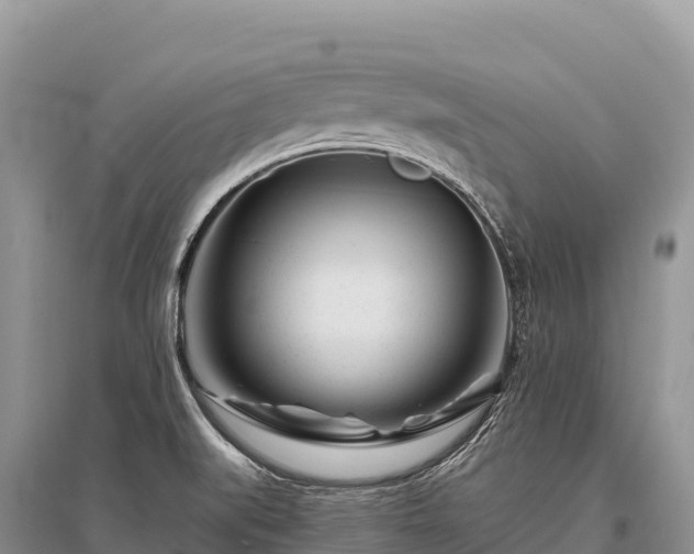 X0000096171519200801251138