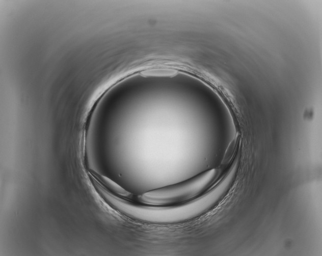 X0000096171520200801251138