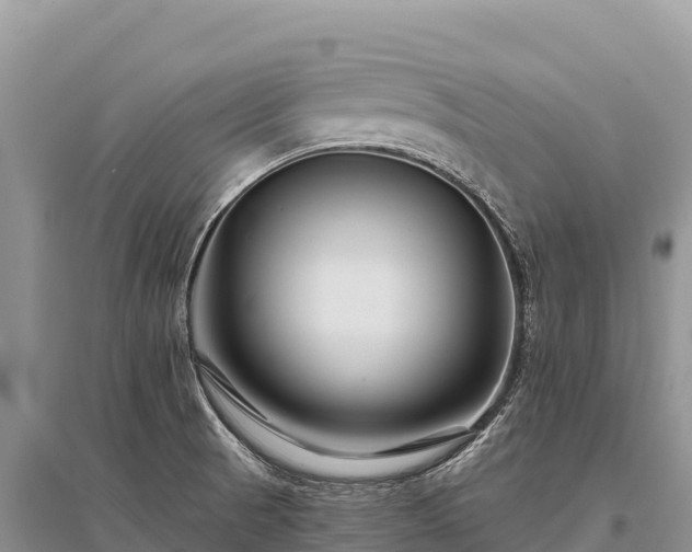 X0000096171521200801251138