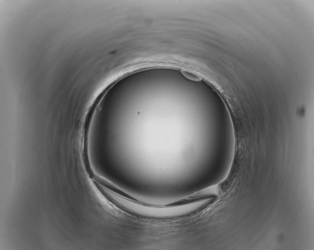 X0000096171523200801251138