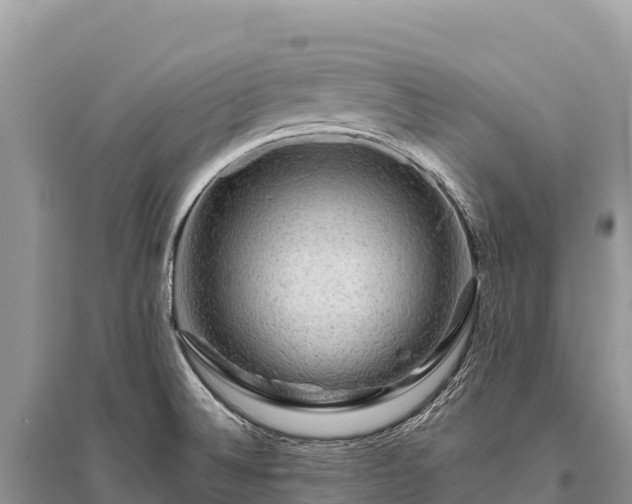 X0000096171524200801251139