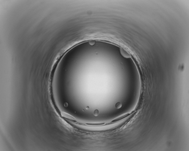 X0000096171525200801251139