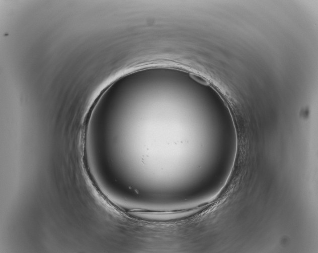 X0000096171526200801251139
