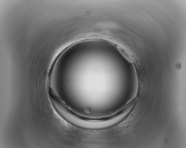 X0000096171527200801251139