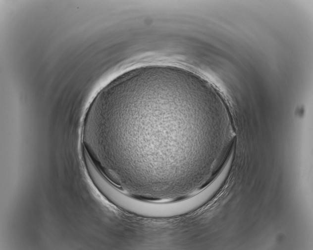 X0000096171528200801251139