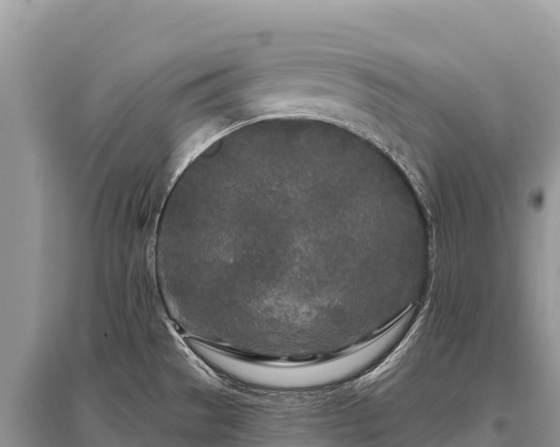 X0000096171529200801251139