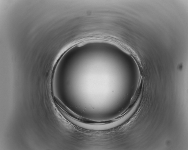 X0000096171530200801251139