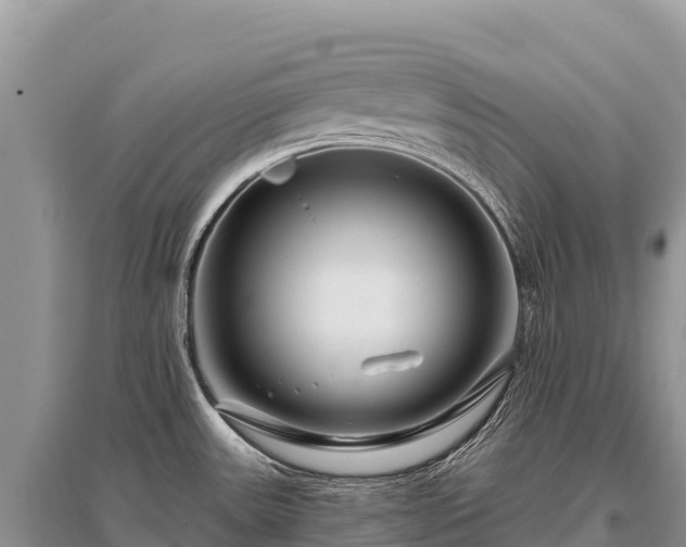 X0000096171531200801251139