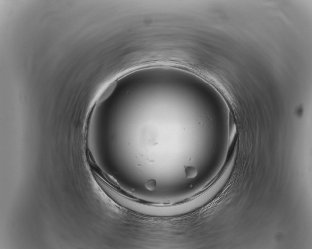 X0000096171532200801251139