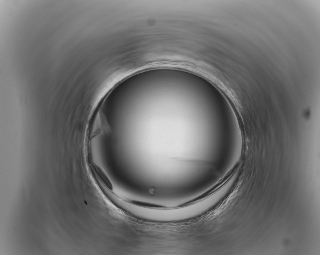 X0000096171533200801251139