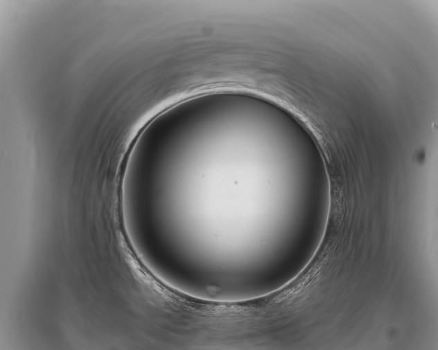 X0000096171534200801251139