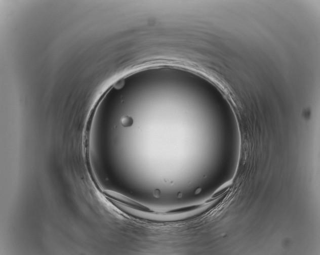X0000096171535200801251139