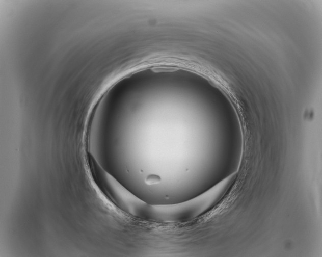 X0000096171536200801251139
