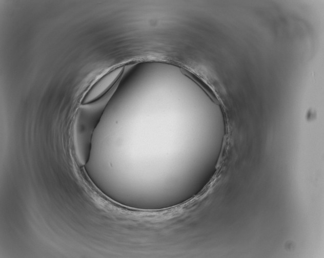 X0000096170001200802011330