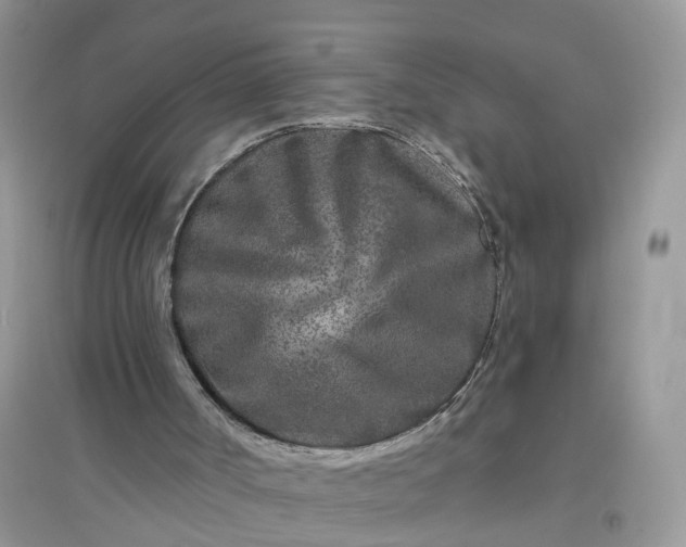 X0000096170002200802011330