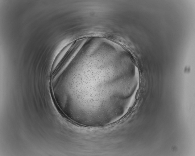 X0000096170003200802011330