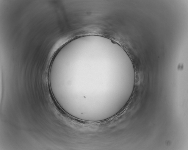 X0000096170004200802011330