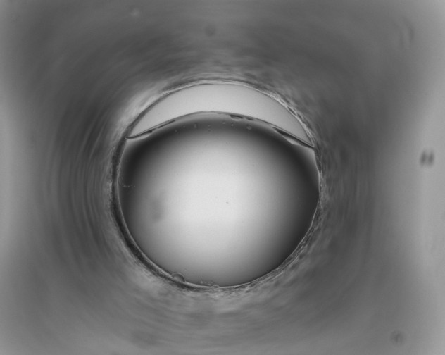 X0000096170005200802011330