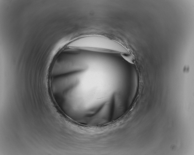 X0000096170006200802011330