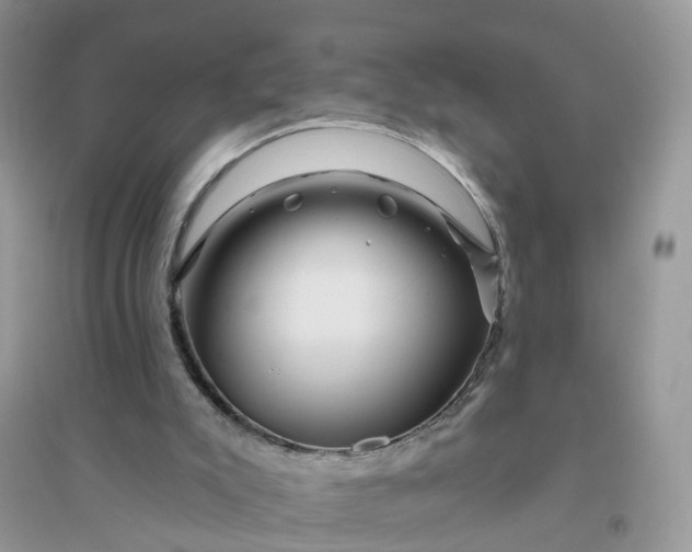 X0000096170007200802011330