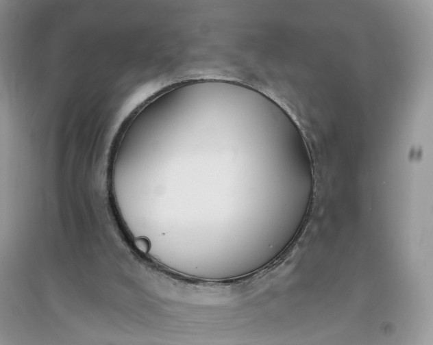 X0000096170008200802011330