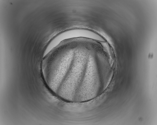 X0000096170009200802011329