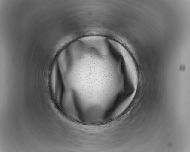 X0000096170010200802011329