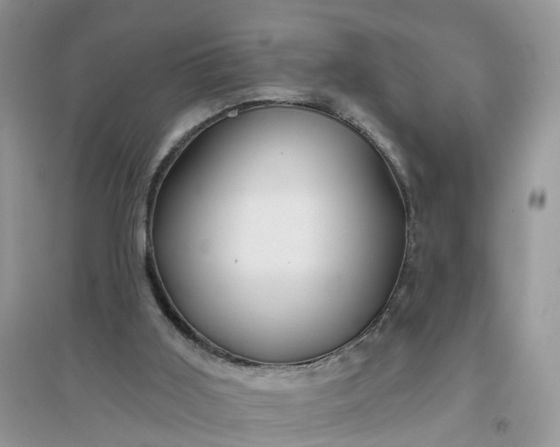 X0000096170011200802011329