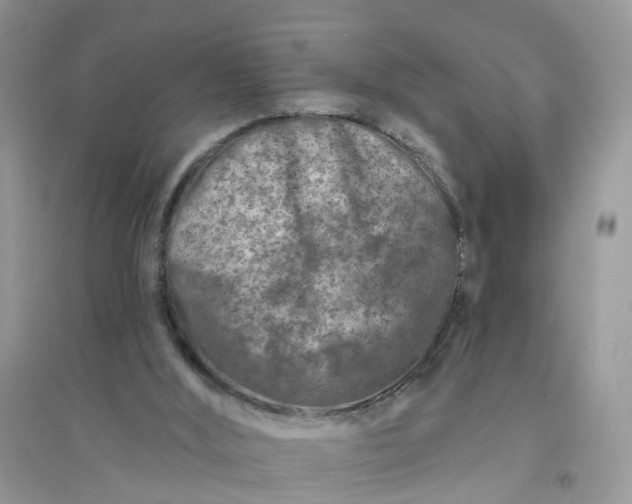 X0000096170012200802011329