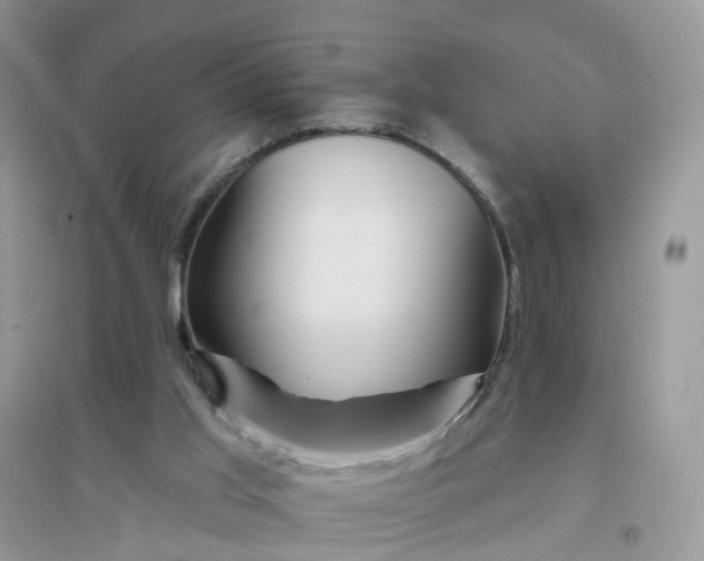 X0000096170013200802011329