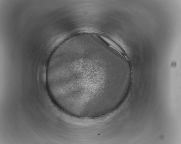 X0000096170014200802011329