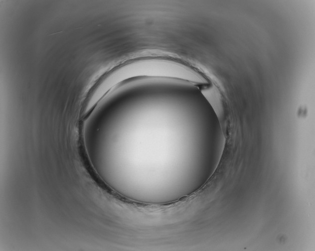 X0000096170015200802011329