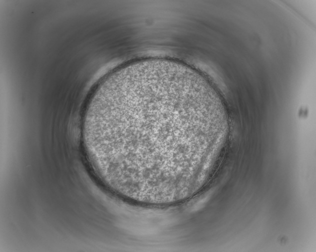 X0000096170016200802011329