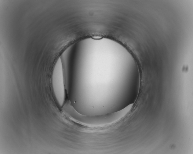 X0000096170017200802011329