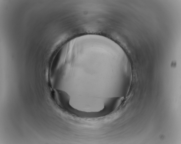 X0000096170019200802011329