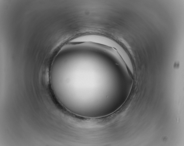 X0000096170020200802011329