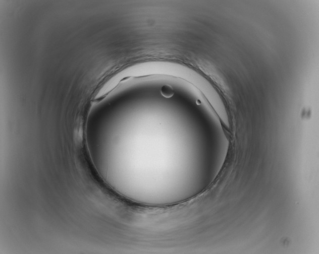 X0000096170021200802011329