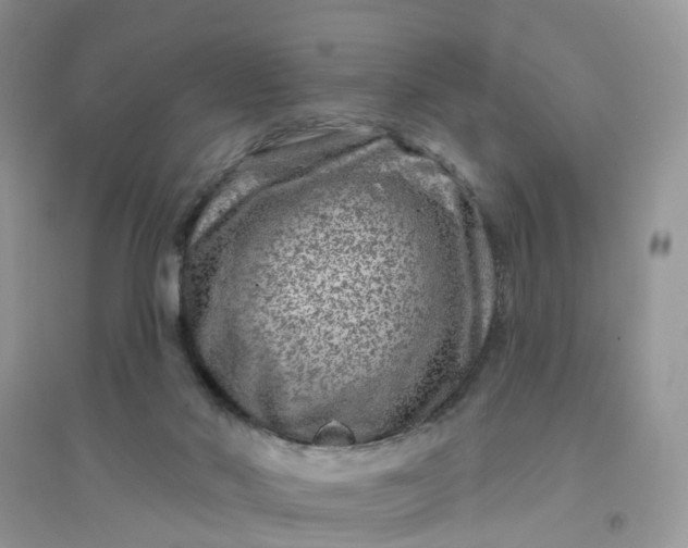 X0000096170022200802011329