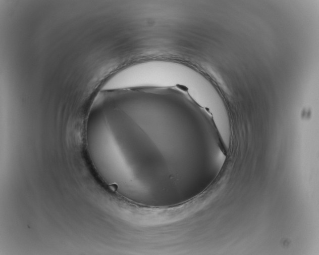 X0000096170023200802011329