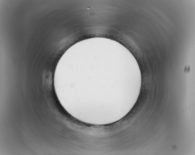 X0000096170024200802011329