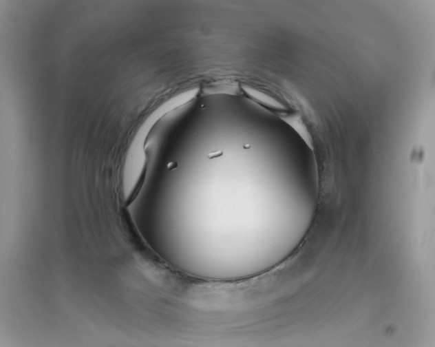 X0000096170025200802011329