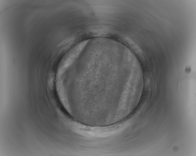 X0000096170026200802011329