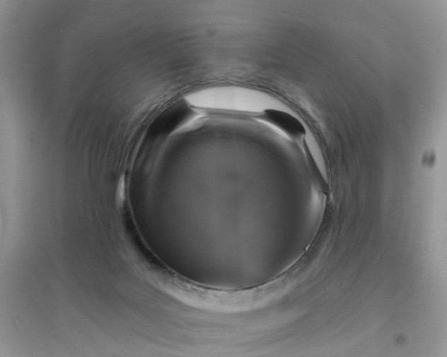 X0000096170027200802011329