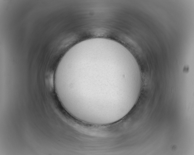 X0000096170028200802011329