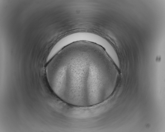 X0000096170029200802011329