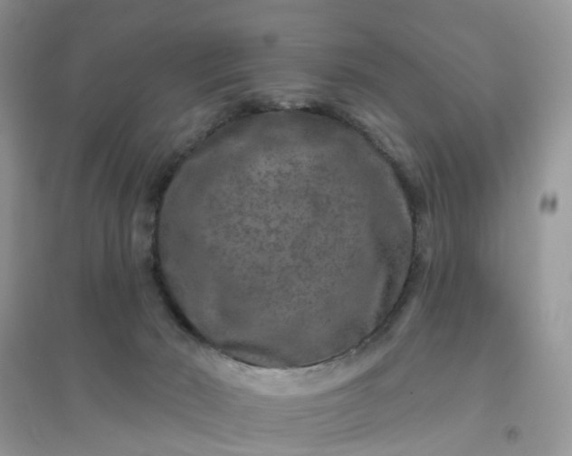 X0000096170030200802011329