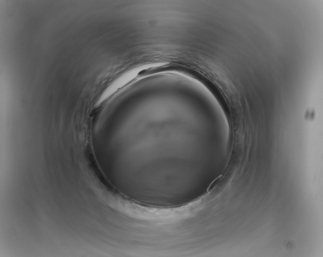 X0000096170031200802011329