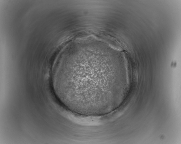 X0000096170032200802011329