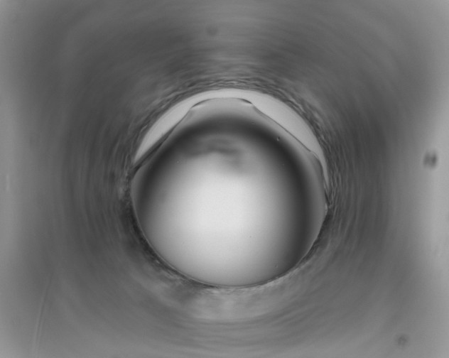 X0000096170033200802011329