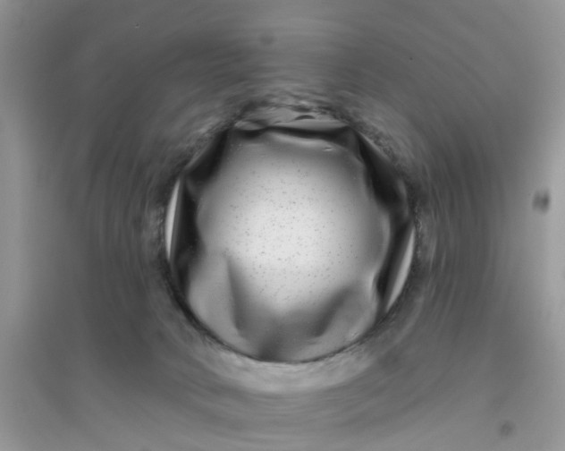 X0000096170034200802011329